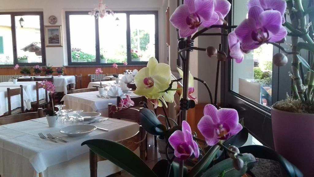 Bb Orchidea Frühstückspension Stresa